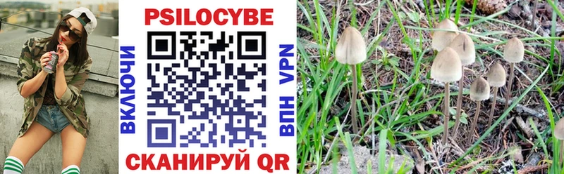 Псилоцибиновые грибы прущие грибы  хочу   Луза 